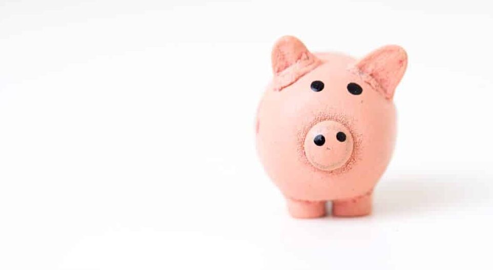 Buying an annuity 5 step guide - featured image of pink piggy bank on white canvas background