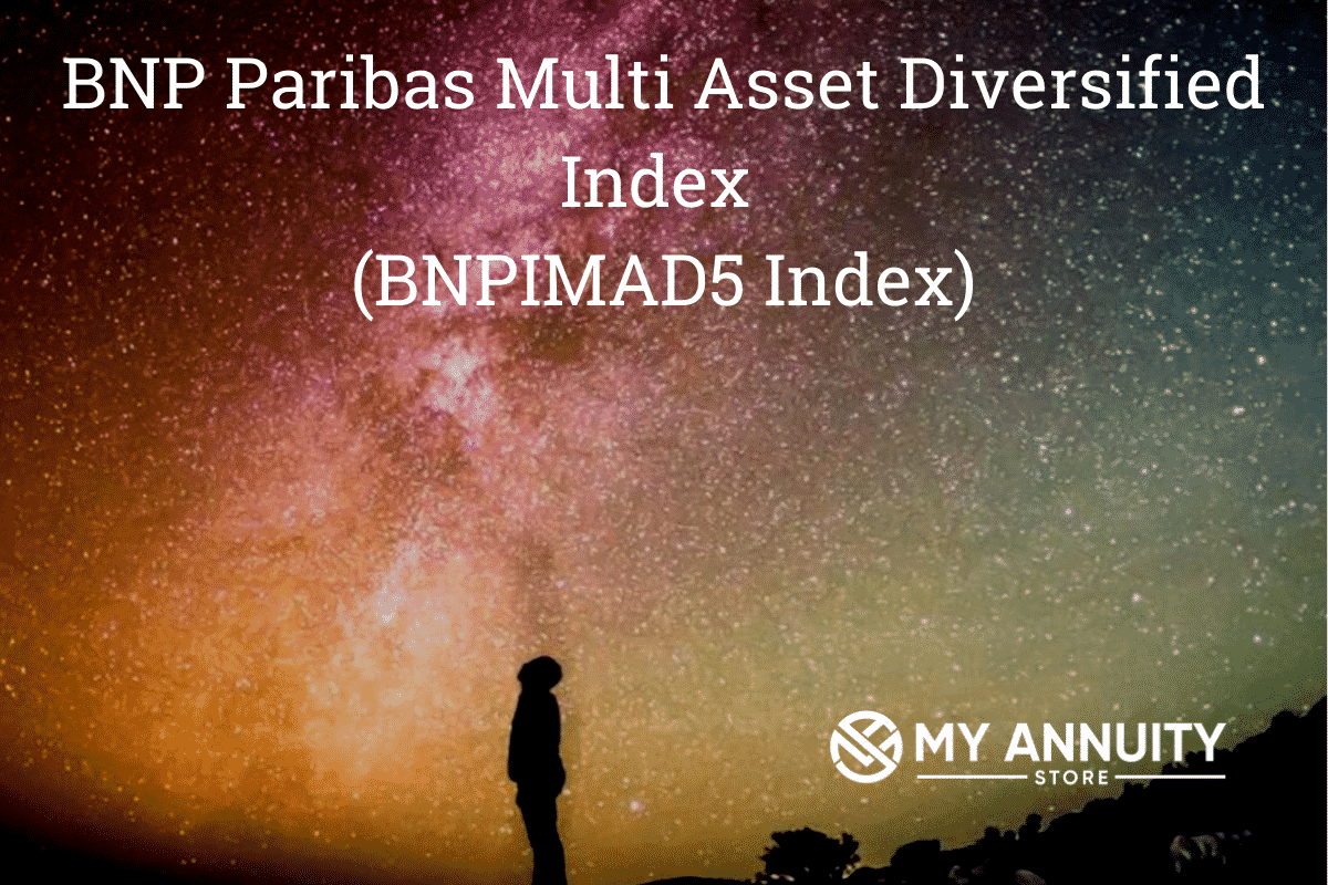 image of person looking into star filled sky - BNP Paribas Multi Asset Diversified Index (BNPIMAD5 Index)